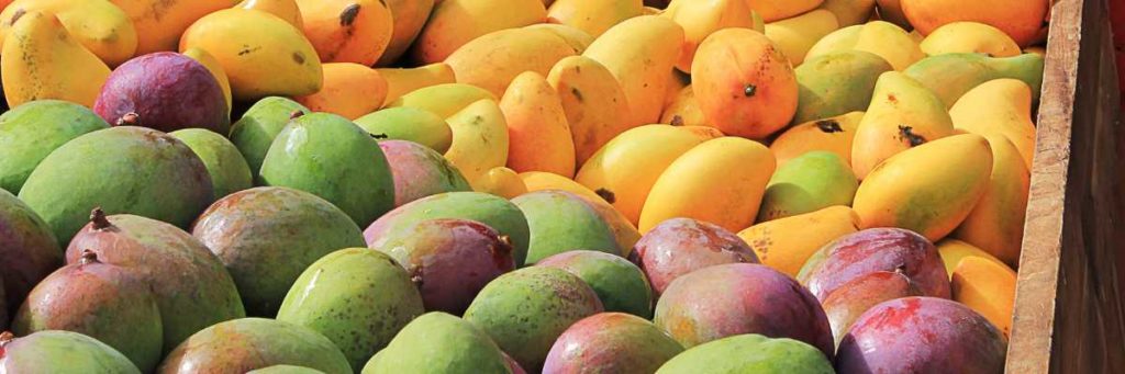 Reife Mangos in Holzkiste